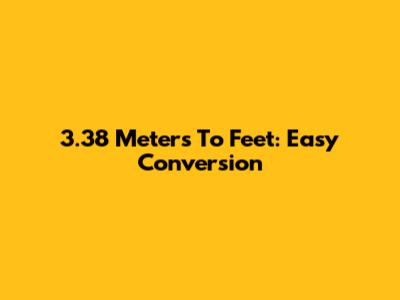 3.38 Meters To Feet: Easy Conversion