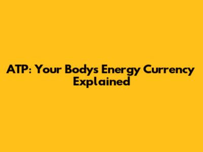 ATP: Your Body's Energy Currency Explained