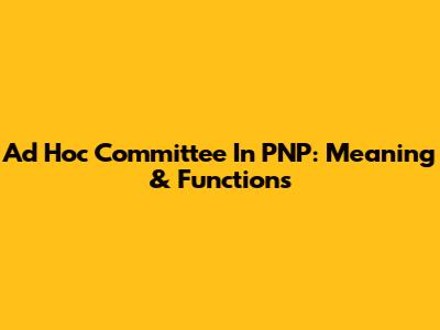 Ad Hoc Committee In PNP: Meaning & Functions