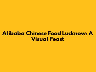 Alibaba Chinese Food Lucknow: A Visual Feast