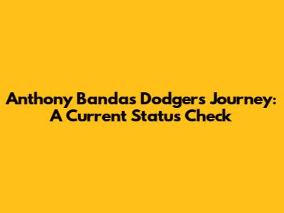 Anthony Banda's Dodgers Journey: A Current Status Check