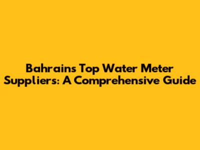 Bahrain's Top Water Meter Suppliers: A Comprehensive Guide