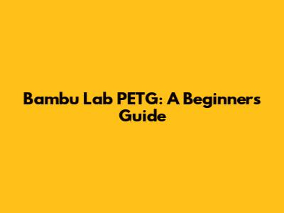 Bambu Lab PETG: A Beginner's Guide