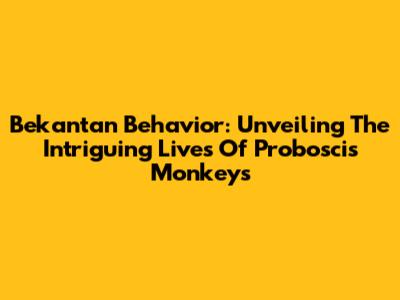 Bekantan Behavior: Unveiling The Intriguing Lives Of Proboscis Monkeys