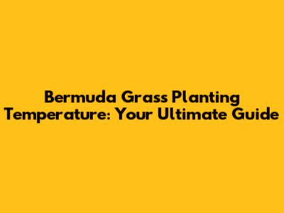 Bermuda Grass Planting Temperature: Your Ultimate Guide