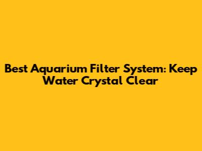 Best Aquarium Filter System: Keep Water Crystal Clear