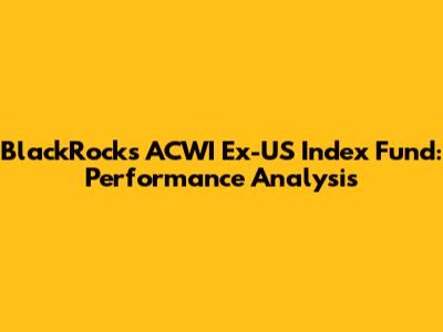 BlackRock's ACWI Ex-US Index Fund: Performance Analysis