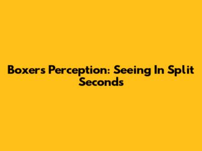Boxer's Perception: Seeing In Split Seconds