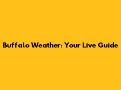 Buffalo Weather: Your Live Guide