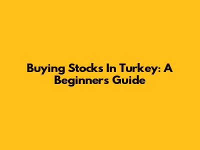 Buying Stocks In Turkey: A Beginner's Guide