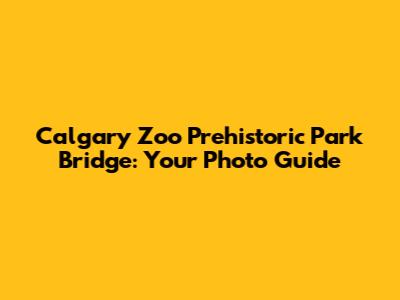 Calgary Zoo Prehistoric Park Bridge: Your Photo Guide