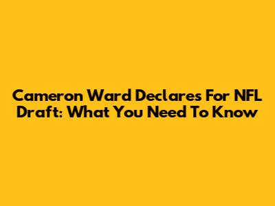 Cameron Ward Declares For NFL Draft: What You Need To Know