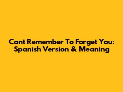 Can't Remember To Forget You: Spanish Version & Meaning