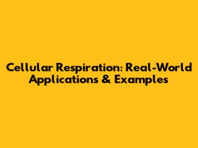 Cellular Respiration: Real-World Applications & Examples