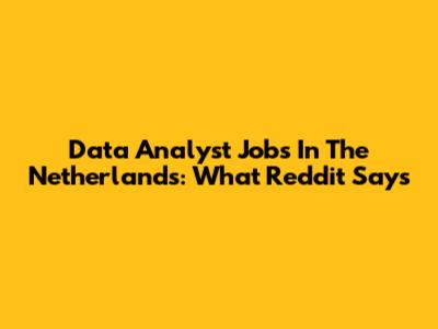 Data Analyst Jobs In The Netherlands: What Reddit Says