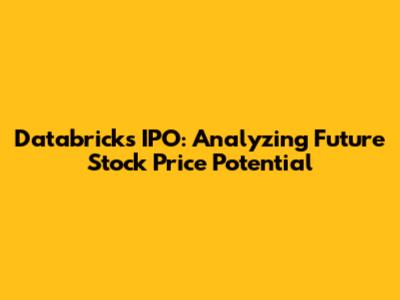 Databricks IPO: Analyzing Future Stock Price Potential