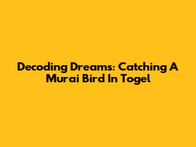 Decoding Dreams: Catching A Murai Bird In Togel