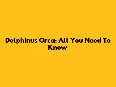 Delphinus Orca: All You Need To Know