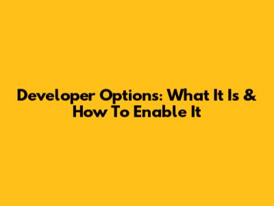 Developer Options: What It Is & How To Enable It
