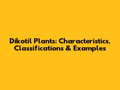 Dikotil Plants: Characteristics, Classifications & Examples