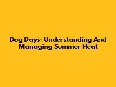 Dog Days: Understanding And Managing Summer Heat