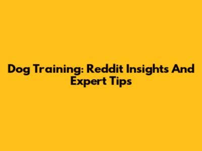 Dog Training: Reddit Insights And Expert Tips
