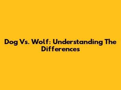 Dog Vs. Wolf: Understanding The Differences