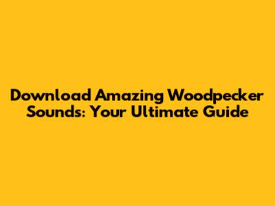 Download Amazing Woodpecker Sounds: Your Ultimate Guide