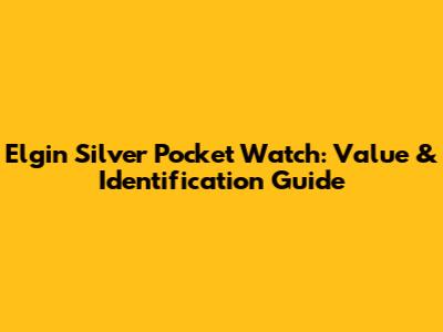 Elgin Silver Pocket Watch: Value & Identification Guide