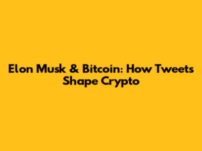 Elon Musk & Bitcoin: How Tweets Shape Crypto
