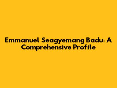Emmanuel Seagyemang Badu: A Comprehensive Profile