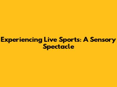 Experiencing Live Sports: A Sensory Spectacle