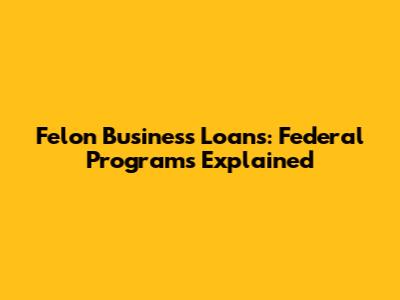 Felon Business Loans: Federal Programs Explained