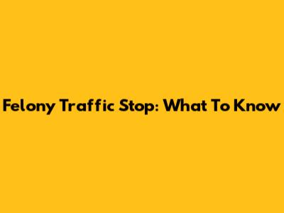 Felony Traffic Stop: What To Know