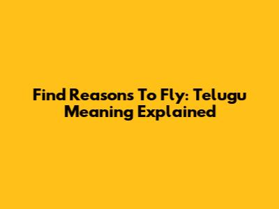 Find Reasons To Fly: Telugu Meaning Explained