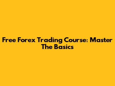 Free Forex Trading Course: Master The Basics