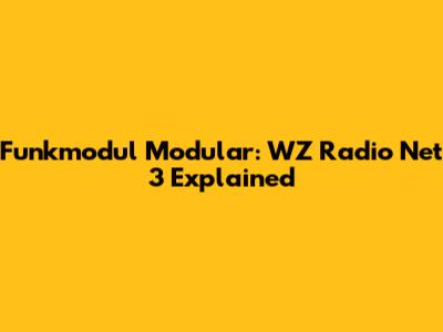 Funkmodul Modular: WZ Radio Net 3 Explained