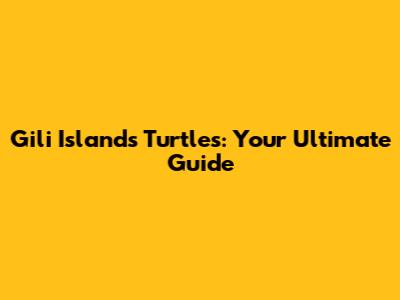 Gili Islands Turtles: Your Ultimate Guide