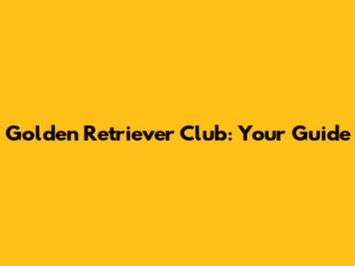 Golden Retriever Club: Your Guide