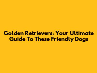 Golden Retrievers: Your Ultimate Guide To These Friendly Dogs