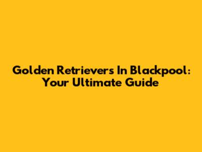 Golden Retrievers In Blackpool: Your Ultimate Guide