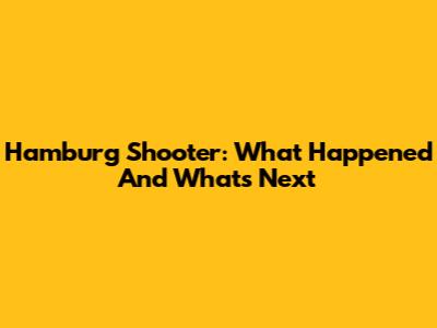 Hamburg Shooter: What Happened And What's Next