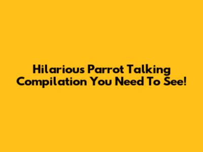 Hilarious Parrot Talking Compilation You Need To See!