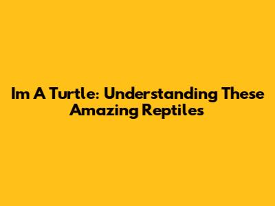 I'm A Turtle: Understanding These Amazing Reptiles