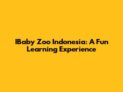 IBaby Zoo Indonesia: A Fun Learning Experience