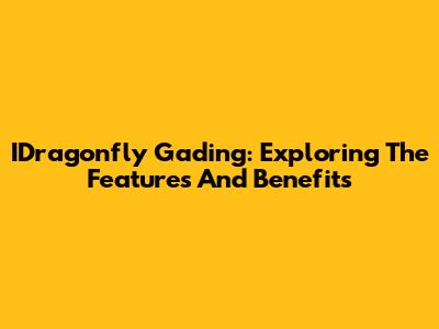 IDragonfly Gading: Exploring The Features And Benefits