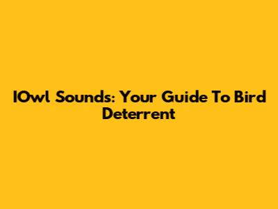 IOwl Sounds: Your Guide To Bird Deterrent