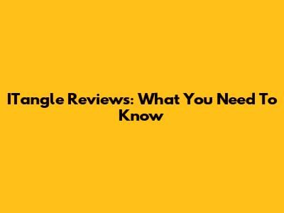 ITangle Reviews: What You Need To Know