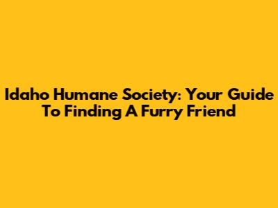 Idaho Humane Society: Your Guide To Finding A Furry Friend