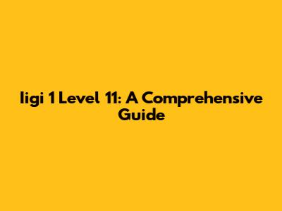 Iigi 1 Level 11: A Comprehensive Guide
